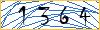 Type the numbers that you see in the picture
