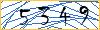 Type the numbers that you see in the picture
