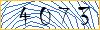 Type the numbers that you see in the picture