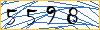 Type the numbers that you see in the picture