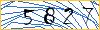 Type the numbers that you see in the picture