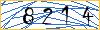 Type the numbers that you see in the picture
