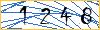 Type the numbers that you see in the picture