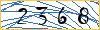 Type the numbers that you see in the picture