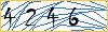 Type the numbers that you see in the picture