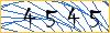 Type the numbers that you see in the picture