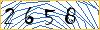 Type the numbers that you see in the picture