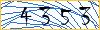 Type the numbers that you see in the picture