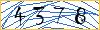Type the numbers that you see in the picture