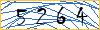 Type the numbers that you see in the picture