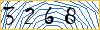 Type the numbers that you see in the picture