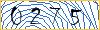 Type the numbers that you see in the picture