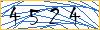 Type the numbers that you see in the picture