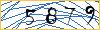 Type the numbers that you see in the picture