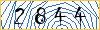 Type the numbers that you see in the picture