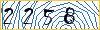 Type the numbers that you see in the picture