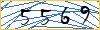 Type the numbers that you see in the picture