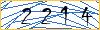 Type the numbers that you see in the picture
