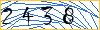 Type the numbers that you see in the picture