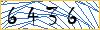 Type the numbers that you see in the picture