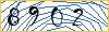 Type the numbers that you see in the picture