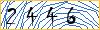 Type the numbers that you see in the picture