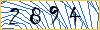 Type the numbers that you see in the picture