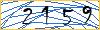 Type the numbers that you see in the picture