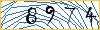 Type the numbers that you see in the picture