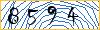 Type the numbers that you see in the picture