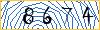 Type the numbers that you see in the picture
