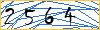 Type the numbers that you see in the picture