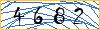 Type the numbers that you see in the picture