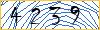 Type the numbers that you see in the picture