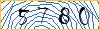 Type the numbers that you see in the picture