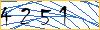 Type the numbers that you see in the picture