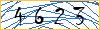 Type the numbers that you see in the picture