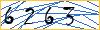 Type the numbers that you see in the picture