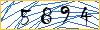 Type the numbers that you see in the picture