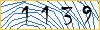 Type the numbers that you see in the picture