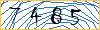 Type the numbers that you see in the picture