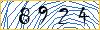 Type the numbers that you see in the picture