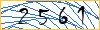 Type the numbers that you see in the picture