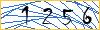Type the numbers that you see in the picture
