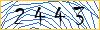 Type the numbers that you see in the picture