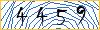 Type the numbers that you see in the picture