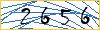 Type the numbers that you see in the picture