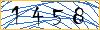 Type the numbers that you see in the picture