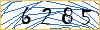 Type the numbers that you see in the picture