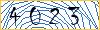 Type the numbers that you see in the picture